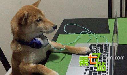 狗狗竟然也开口说话了？还叫出来“妈妈”