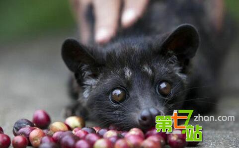 大吃一惊！全球十大最“肮脏”的节日