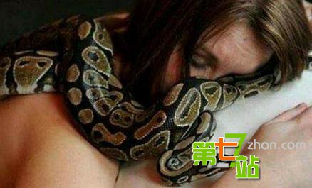 蟒蛇绝食每晚缠美女睡觉 真相太吓人