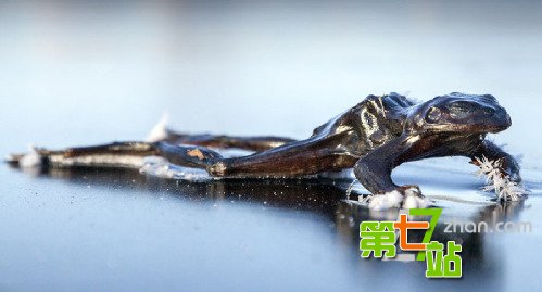 19岁女子全身被冻僵像冷冻肉 谁知竟奇迹复活