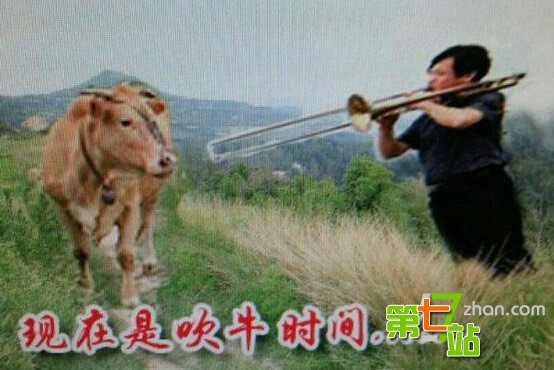 史上最有趣最难回答的8个问题 不信你能答2道