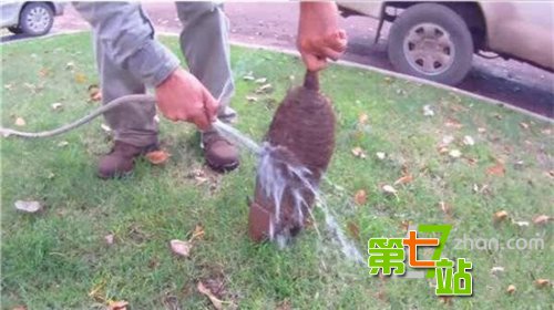 女子只是在河边喂鱼 下一幕让人吓尿