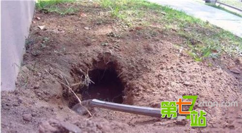 女子只是在河边喂鱼 下一幕让人吓尿