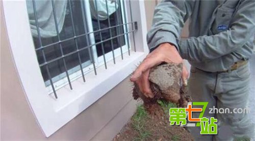 女子只是在河边喂鱼 下一幕让人吓尿