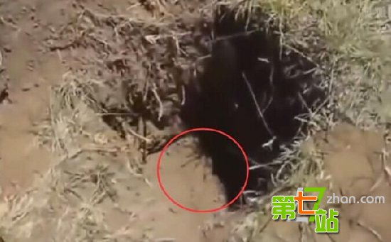 老人种树挖到一铁箱子 打开后瞬间懵了