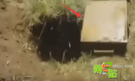 老人种树挖到一铁箱子 打开后瞬间懵了