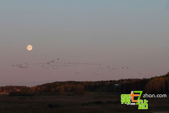 外太空的10大奇异天体：僵尸恒星可起死回生