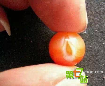 中国传说中十大镇宅宝物：你家有几个