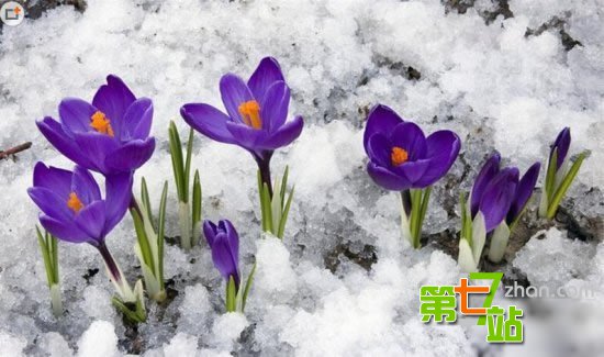 比黄金还贵的13种神奇物质 看你知道几个