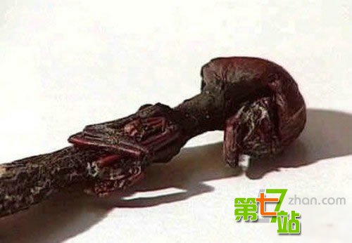 地球很危险！至今为止发现的十大诡异生物