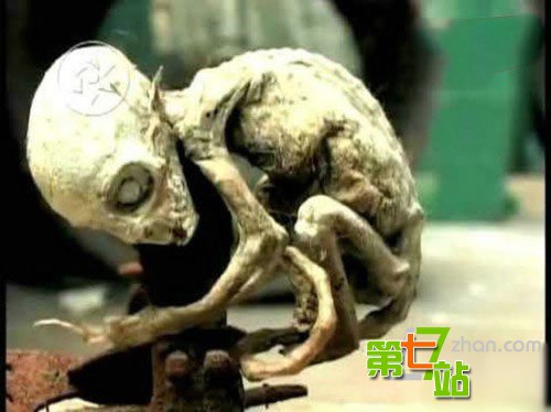 地球很危险！至今为止发现的十大诡异生物