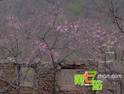 号称“中国第一鬼村”里面住着什么鬼？