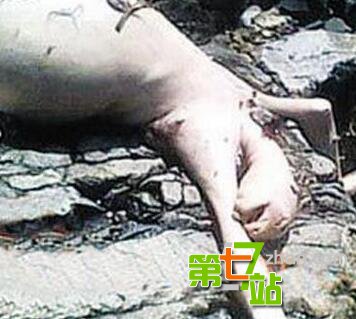 号称“中国第一鬼村”里面住着什么鬼？