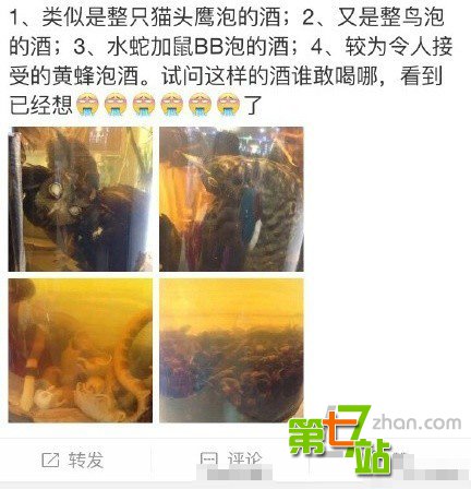 猫头鹰泡酒被传治风湿头痛 专家称毫无根据