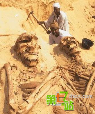 10大最著名人形怪兽 男子海滩发现真实美人鱼
