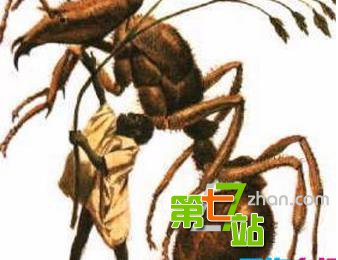 10大最著名人形怪兽 男子海滩发现真实美人鱼