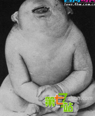 10大最著名人形怪兽 男子海滩发现真实美人鱼