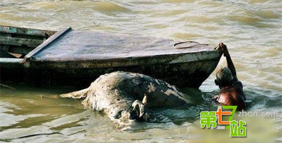 印度男孩水葬11年之后竟然神秘归来