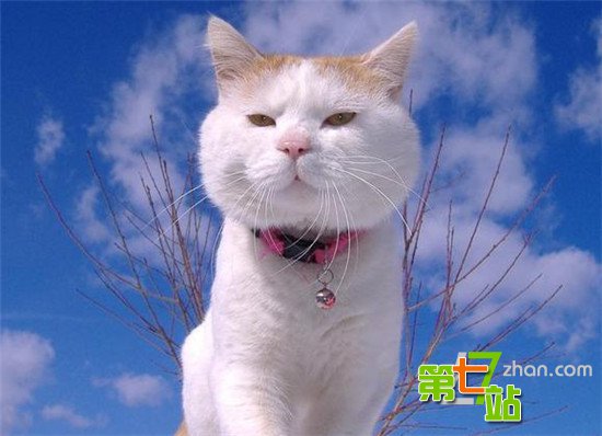 大部分国人一辈子不知道的真相：本命年为啥要穿红