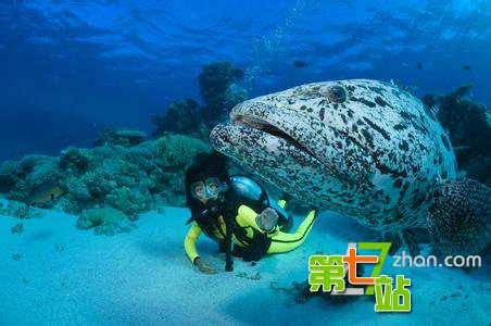 独特的海岛风光：四季皆宜的旅游度假岛屿