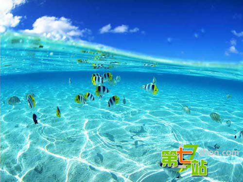 独特的海岛风光：四季皆宜的旅游度假岛屿