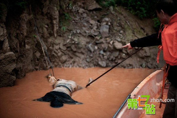 最恐怖职业捞尸人：最怕遇花季少女浮尸