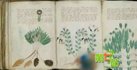 长达千年无人能解！科学家无法解释的神秘谜题