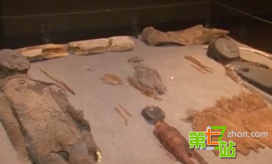 智利千年木乃伊腐烂 化成酸水和烂泥场面恶心