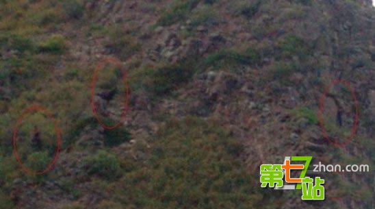 首揭新疆11大神秘未解之谜 喀纳斯湖水怪