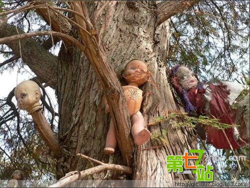　　墨西哥的娃娃岛（也有称为玩偶岛）一直有一种神秘诡异的魅力，围绕着这个岛与附近的运河，有很多古老的传说和故事 .娃娃岛位于Teshuilo湖上，在霍奇米尔科和墨西哥城之间，据说有三个年轻女孩在此地被打，其中一个人被淹死。因此 ,该地区也成为知名闹鬼之地。后来这里发现很多丢弃的旧娃娃，随着时间的累积，娃娃的数量越来越惊人达到数以千计。这些娃娃被丢得到处都是 ,有些还绑在树上，越来越多的娃娃改变了这里的环境，这里变得越来越神秘诡异，令人毛骨悚然，同时在当地人中的知 名度也逐步提高，成为当地著名的新景观。