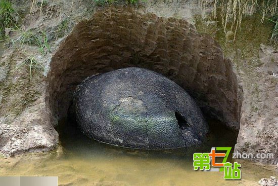 男子旅途中发现一枚恐龙蛋 真相太骇人