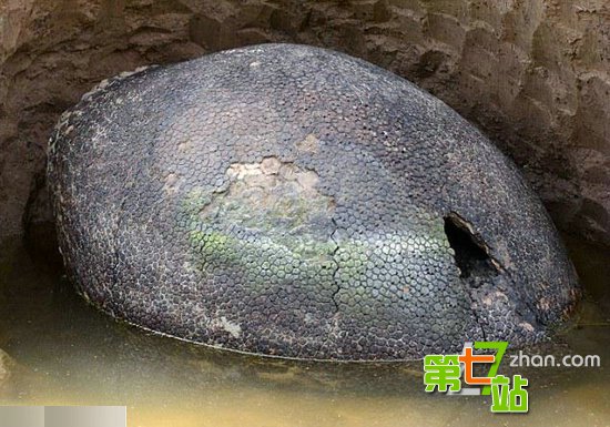 男子旅途中发现一枚恐龙蛋 真相太骇人