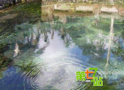 24大世界未解之谜：知道3个就算你厉害