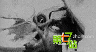 地球人类的真实身份：被洗脑后的外星人？