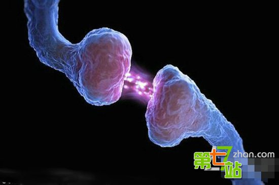 大脑十大未解之谜 死而复生成现实