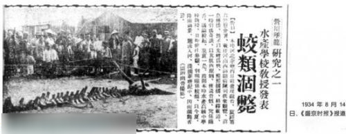 灾难来临神秘怪象！地震前后惊现骇人一幕