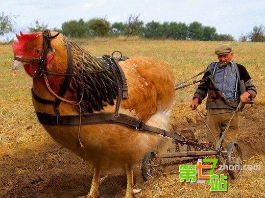 可怕的变异现象：怪胎转基因现象