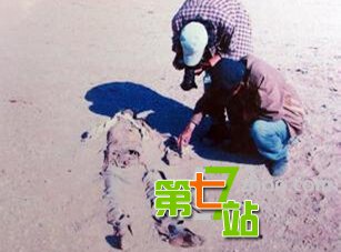 高层闭口不提！彭加木失踪真相震惊中外