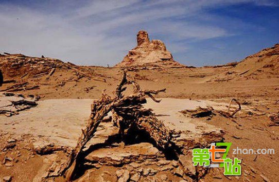 高层闭口不提！彭加木失踪真相震惊中外