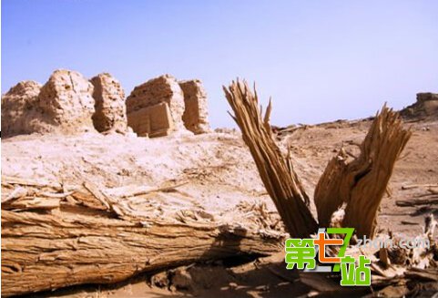 高层闭口不提！彭加木失踪真相震惊中外