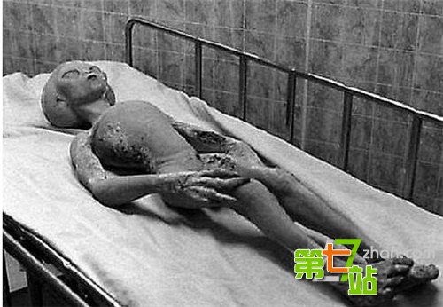 这些神秘生物竟是骗局！外星人由鸡皮做成