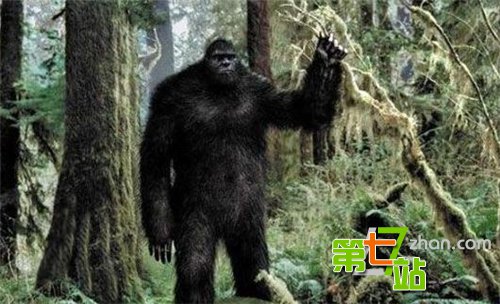 这些神秘生物竟是骗局！外星人由鸡皮做成