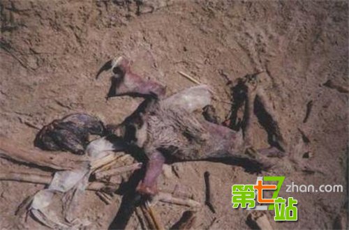 这些神秘生物竟是骗局！外星人由鸡皮做成
