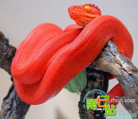 《鬼吹灯》里面真实存在的地方 个个阴森