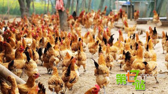 老一辈的文化遗产：神秘的中国民间秘法