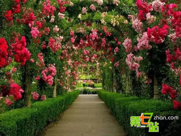 爱花成痴的英国老人花了25年打造梦境花园