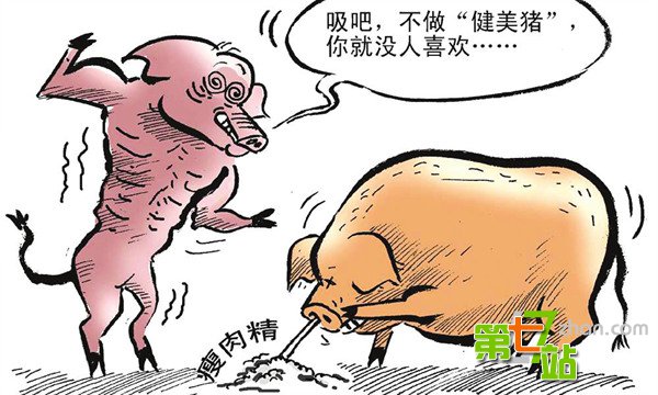运动员特供食品：1桶油上千1碗汤价值2000