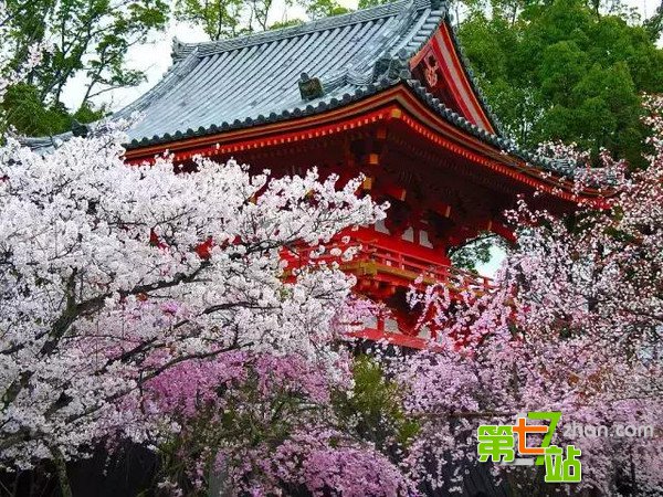 厉害了日本京都！这里有十七处世界文化遗产
