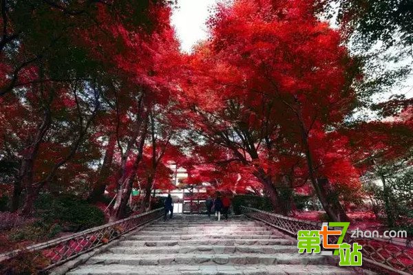 厉害了日本京都！这里有十七处世界文化遗产