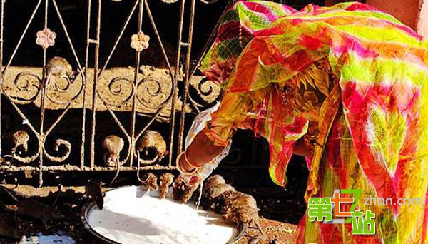 胆小者慎入！全球最令人反胃的旅游景点